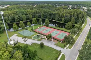 3956 Belmoor Dr, Palm Harbor, FL 34685 - Photo 66