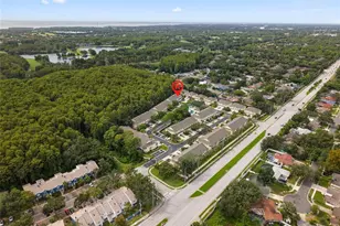 3452 Primrose Way, Palm Harbor, FL 34683 - Photo 44