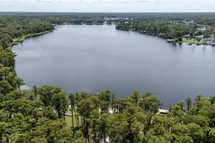 1811 Beachway Ln, Odessa, FL 33556 - Photo 12