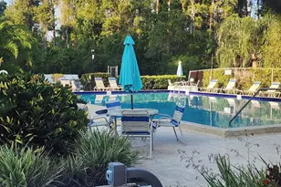 603 Baldwin Ave, Safety Harbor, FL 34695 - Photo 12