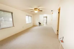 603 Baldwin Ave, Safety Harbor, FL 34695 - Photo 16