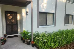 603 Baldwin Ave, Safety Harbor, FL 34695 - Photo 4