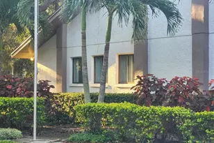 603 Baldwin Ave, Safety Harbor, FL 34695 - Photo 4