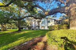 603 Baldwin Ave, Safety Harbor, FL 34695 - Photo 24