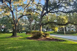 603 Baldwin Ave, Safety Harbor, FL 34695 - Photo 6