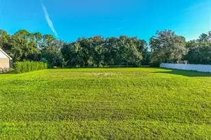 0 Phillips Rd, Odessa, FL 33556 - Photo 1