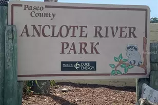 2529 Sandy Hill Ct, Holiday, FL 34691 - Photo 84