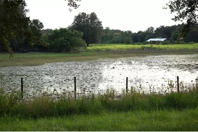 18301 S Obrien Road, Groveland, FL 34736 - Photo 34