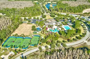 20331 Heritage Point Dr, Tampa, FL 33647 - Photo 100