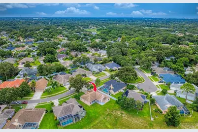 1775 Barn Owl Way, Palm Harbor, FL 34683 - Photo 48