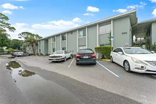 335 47th Ave N, Saint Petersburg, FL 33703 - Photo 24