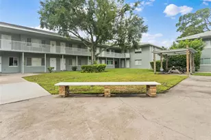 335 47th Ave N, Saint Petersburg, FL 33703 - Photo 6