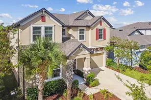 6501 Dutton Dr, Wesley Chapel, FL 33545 - Photo 64