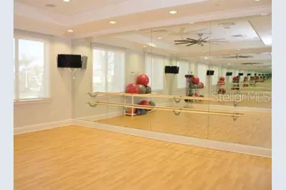 2471 Coco Palm Circle, Wesley Chapel, FL 33543 - Photo 50