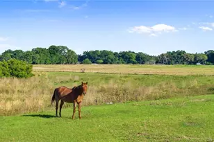12405 Stone Lake Ranch Blvd, Thonotosassa, FL 33592 - Photo 92