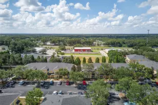 3417 Dragon View, Valrico, FL 33594 - Photo 40
