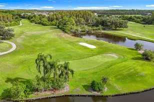 4219 Harbor Lake Dr, Lutz, FL 33558 - Photo 86