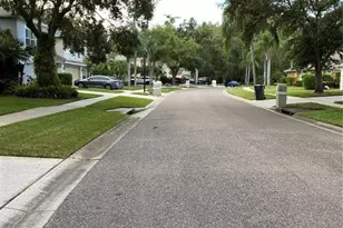 5542 Ave Du Soleil, Lutz, FL 33558 - Photo 2