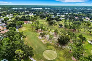 3140 Highlands Blvd, Palm Harbor, FL 34684 - Photo 52