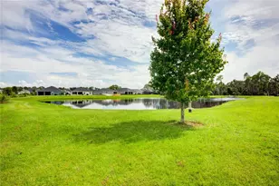 16417 66th Ln E, Parrish, FL 34219 - Photo 2