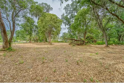 Turkey Creek, Plant City, FL 33566 - Photo 8