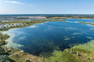 8235 Abby Brooks Cir, Wesley Chapel, FL 33545 - Photo 64