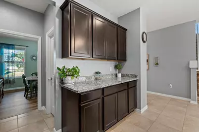 5030 Jackel Chase Drive, Wimauma, FL 33598 - Photo 20