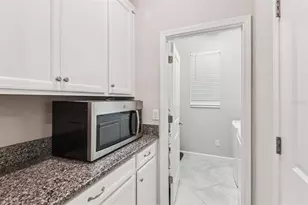 24928 Lambrusco Loop, Lutz, FL 33559 - Photo 24