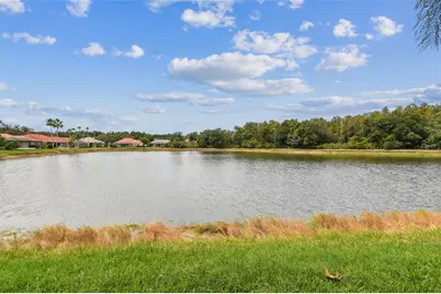 10218 Waterside Oaks Drive, Tampa, FL 33647 - Photo 62