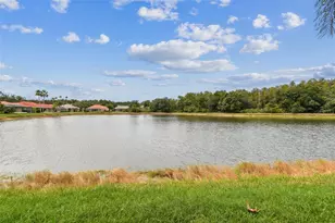 10218 Waterside Oaks Dr, Tampa, FL 33647 - Photo 62