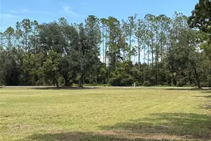 Bellamy Brothers Blvd, Dade City, FL 33525 - Photo 1