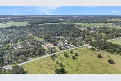 14638 Treeleaf Lane, Dade City, FL 33525 - Photo 4