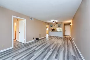 6219 Palma Del Mar Blvd S, Saint Petersburg, FL 33715 - Photo 10