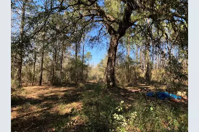 Sw Tower Road, Lee, FL 32059 - Photo 2