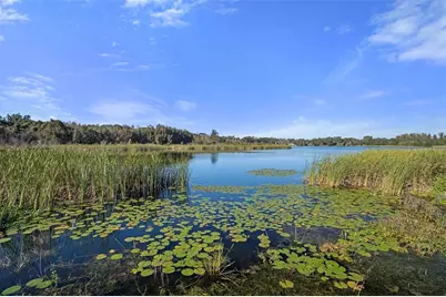 2231 Utopian Drive E #217, Clearwater, FL 33763 - Photo 40