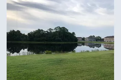 11627 Colony Lake Drive, Tampa, FL 33635 - Photo 8