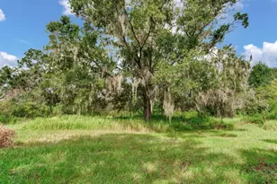 8703 Alafia Hills Dr, Plant City, FL 33567 - Photo 38