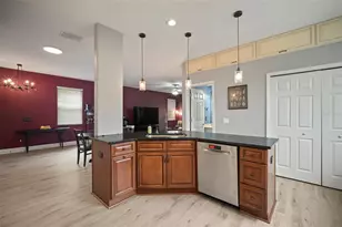 21347 Morning Mist Way, Land O Lakes, FL 34637 - Photo 6