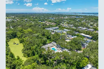 539 New York Avenue, Dunedin, FL 34698 - Photo 16