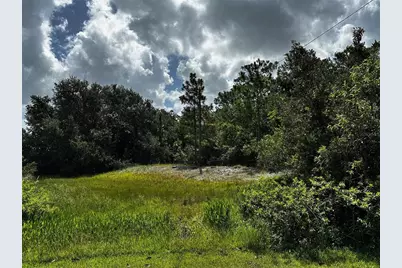 0 Doherty Drive, Lake Wales, FL 33898 - Photo 4