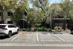 11703 Raintree Village Blvd, Temple Terrace, FL 33617 - Photo 2