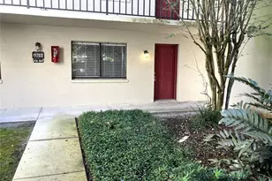 11703 Raintree Village Blvd, Temple Terrace, FL 33617 - Photo 1