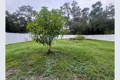 10118 Alambra Avenue, Tampa, FL 33619 - Photo 70