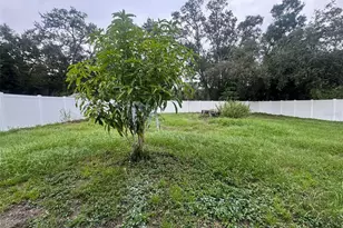 10118 Alambra Ave, Tampa, FL 33619 - Photo 70