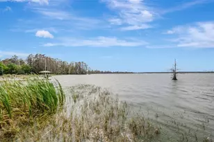 12428 Kelso Rd, Thonotosassa, FL 33592 - Photo 52