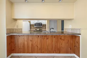 903 Buck Ct, Brandon, FL 33511 - Photo 14