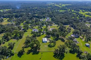 10101 Bryant Rd, Lithia, FL 33547 - Photo 96