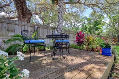225 President Street, Dunedin, FL 34698 - Photo 50