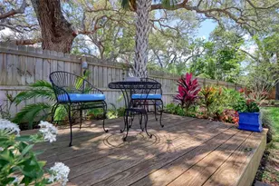 225 President St, Dunedin, FL 34698 - Photo 50