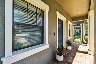 28465 Tranquil Lake Cir, Wesley Chapel, FL 33543 - Photo 4